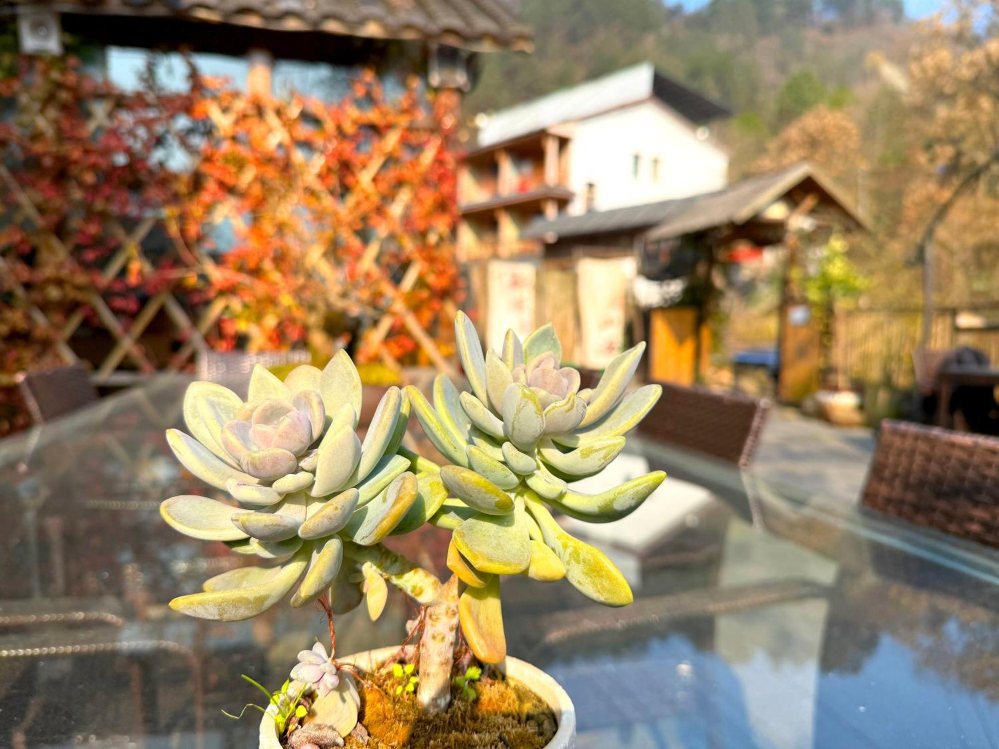 Zhangjiajie Forest Park Youth Hostel Ngoại thất bức ảnh